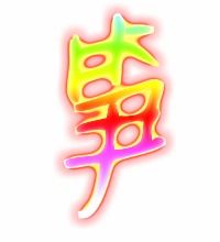笋组词语怎么组?