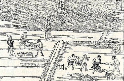 土地兼并什么意思