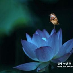 遥远的近义词是什么?