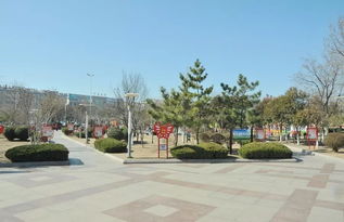 寒亭区天气预报，寒亭实验中学