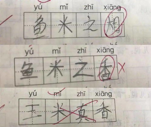 音乐的拼音