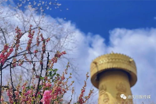 什么的微风