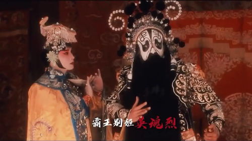 国粹是什么意思解释