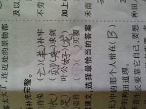 翻什么覆什么成语反义词，翻什么覆什么 四字词语
