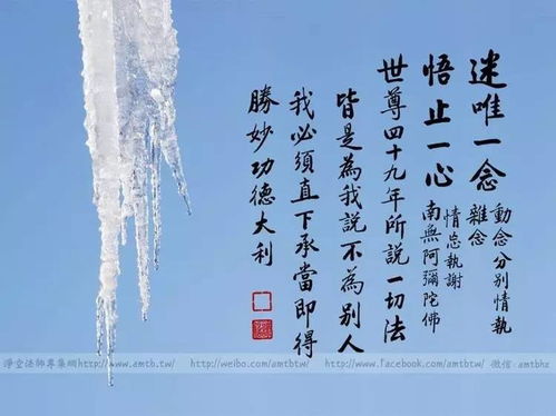 如何行禅?