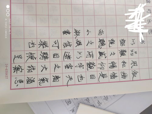 覆怎么读什么意思，覆庇怎么读