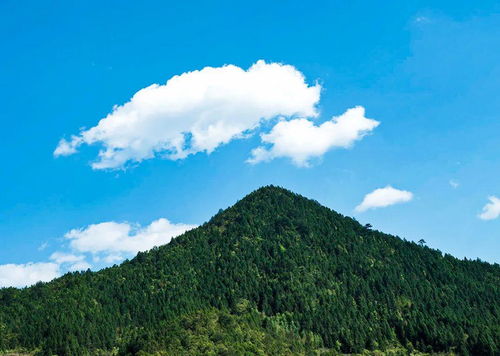 清远马头山风景区游玩攻略清远马头山风景区在哪里