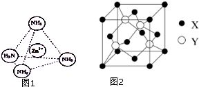 zn是什么意思饭圈用语，情侣zn是什么意思
