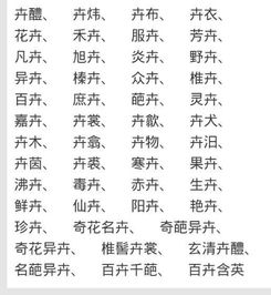卉有哪些组词