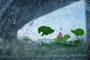 怪雨伞的读后感怎么写，怪雨伞的故事内容