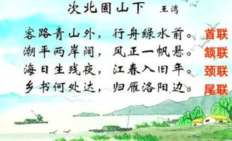 颈联和颔联是什么意思，颔联是什么意思和你体会到的情感