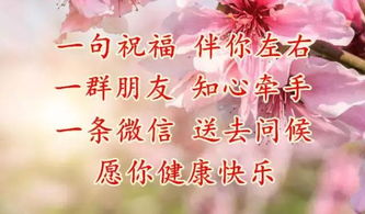 哀心祝愿的意思，祝愿的意思解释
