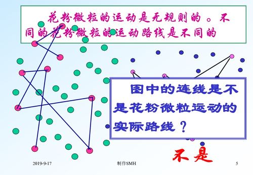 布朗运动的实质是什么，布朗运动wt