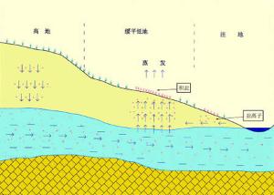 径流模数，径流量的影响因素