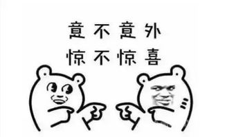不什么什么解成语，不什么什么解释