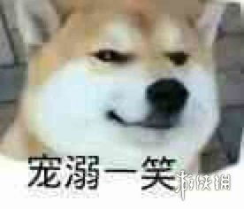 微信狗头是什么意思，微信发个狗头是什么意思