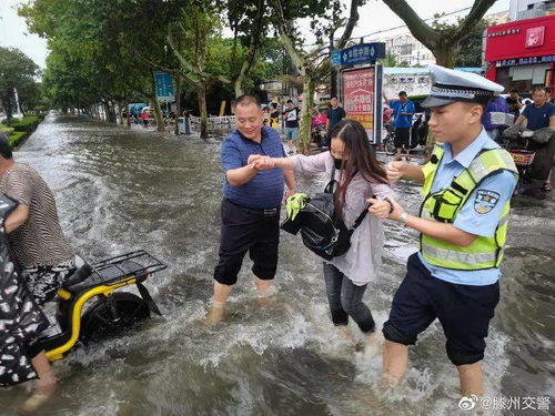 滂沱大雨在十二生肖里代表什么动物?很急,