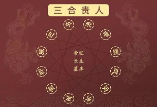 无迹可寻找神童猜一生肖