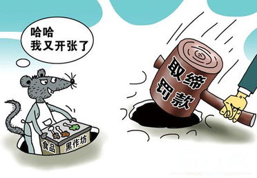 另起炉灶政策，另起炉灶政策的时间