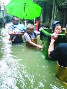 滂沱大雨打一动物，滂沱大雨什么生肖