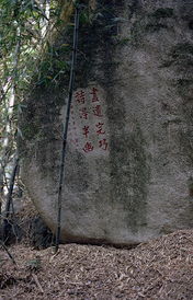 万石植物园，万石坞露营公园