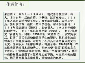 不可置否什么意思?