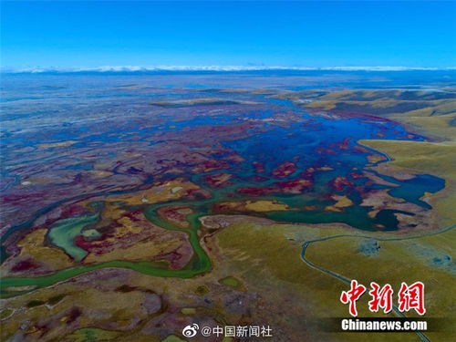腹地是什么意思