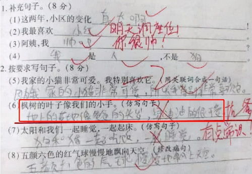 用信以为真造句子大全