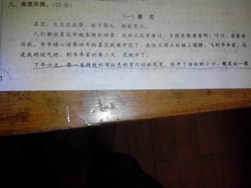 昙花一现的反义词是不是永放光彩，昙花一现的反义词是什么表达爱情