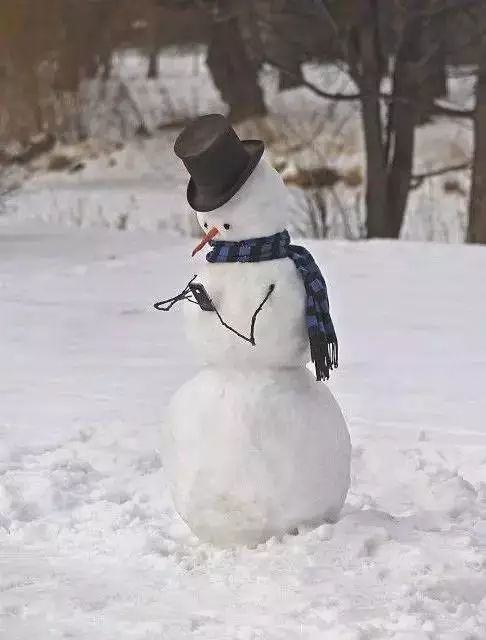 什么的雪人什么的立在雪地里什么地跟路过的每一个人打招呼