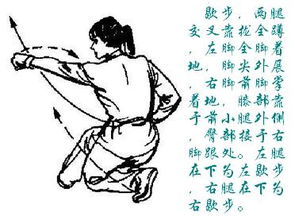 请述弓步、马步、虚步、仆步、歇步的动作要点
