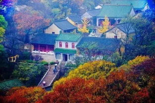 登高望远是什么意思啊!