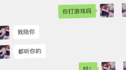 娇傲的解释