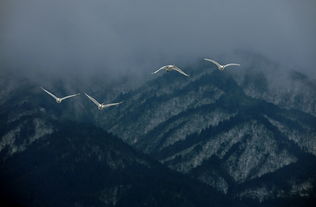 立锥之地的意思，立足之地和用武之地的区别