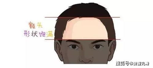 肥头大耳的意思是骂人的吗，肥头大耳是词语吗