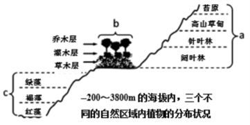 据此,洪堡提出了青藏高原热岛效应理论，据此应如何深化我国的课程改革