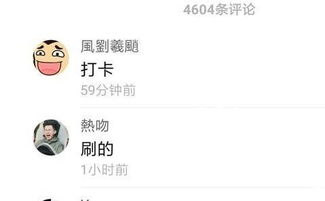 打卡是什么意思