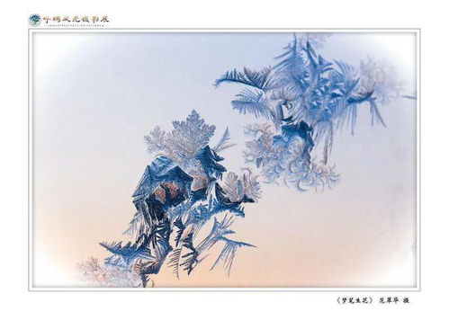 妙笔生花sketchbook下载，妙笔生花看图写话