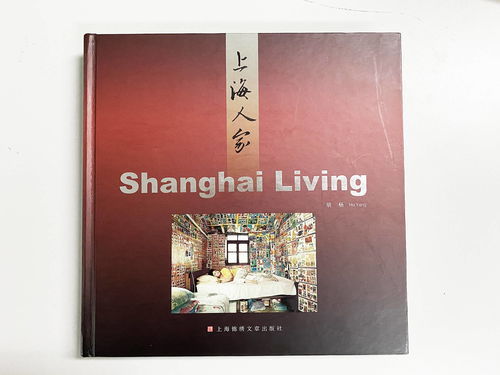 踌躇满志的意思