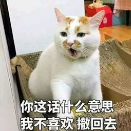 怎样的怎组词