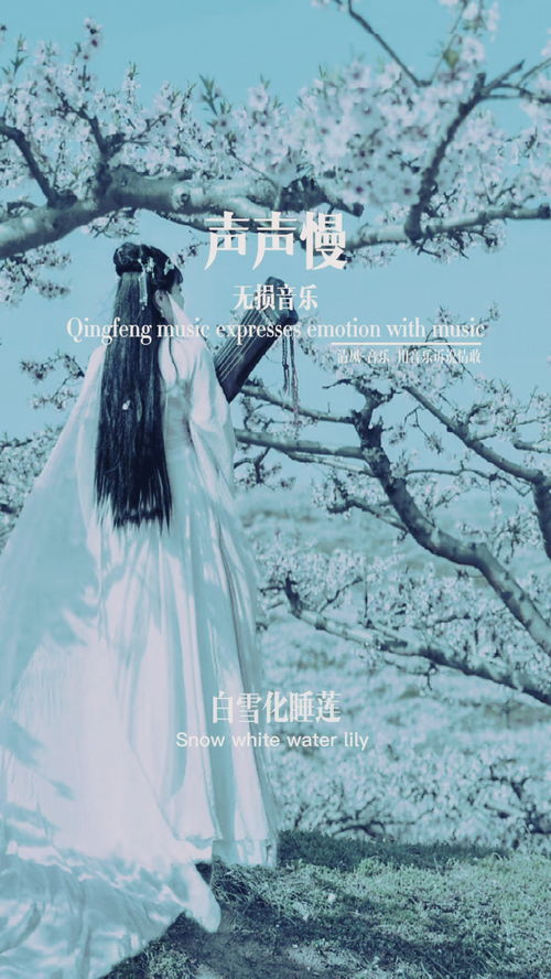 冷冷清清凄凄惨惨戚戚怎么对，李清照寻寻觅觅冷冷清清凄凄惨惨戚戚