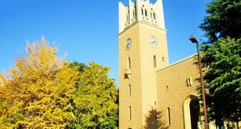早稻田大学相当于中国的什么大学