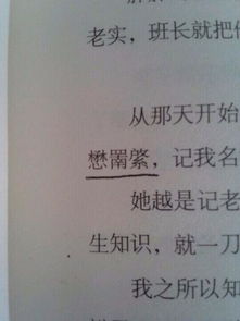 圣德伟懋是什么意思，懋是什么意思岫