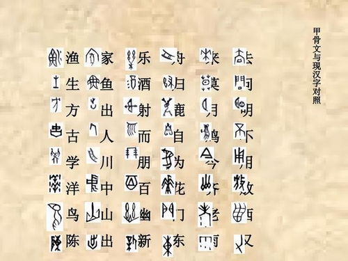 曾的读音是翘舌音，曾几的读音
