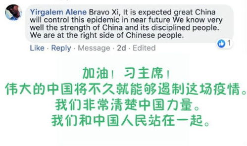 “奋力”的意思是什么?