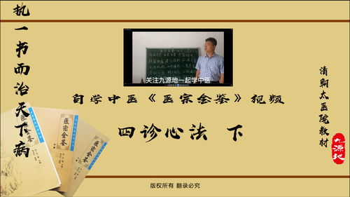 四诊法，四诊摘要