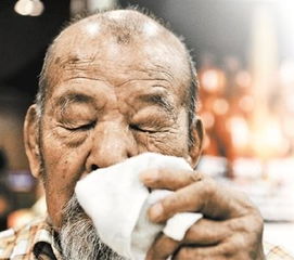 老老[lǎo lao]什么意思?近义词和反义词是什么?英文翻译是什么?_百度