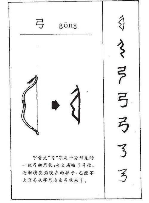 弓的笔顺是什么