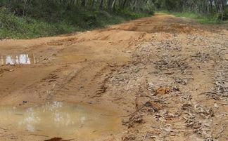 感情泥泞是什么意思，梦到道路泥泞是什么意思