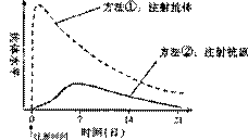 裨怎么读音